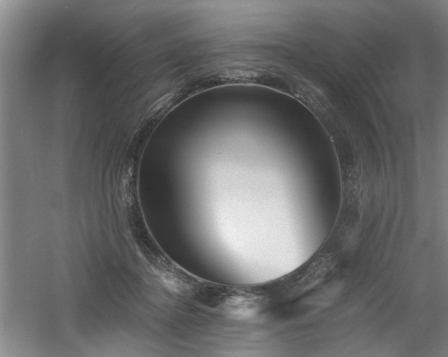 X0000060780364200511101346