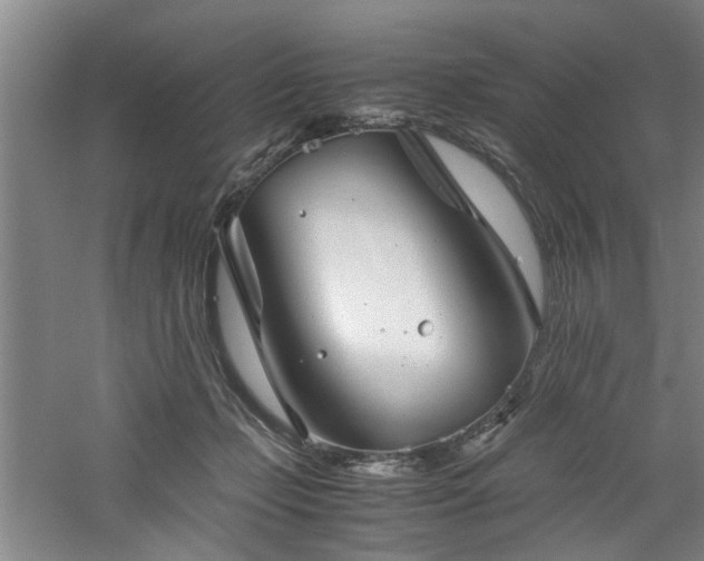 X0000060780365200511101346