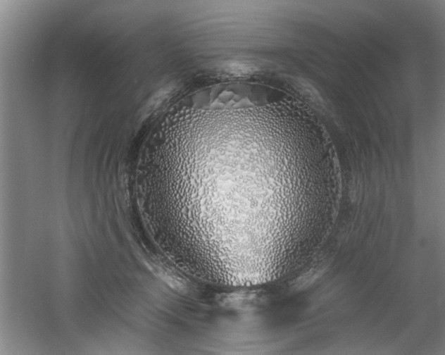 X0000060780366200511101346