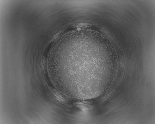 X0000060780367200511101346