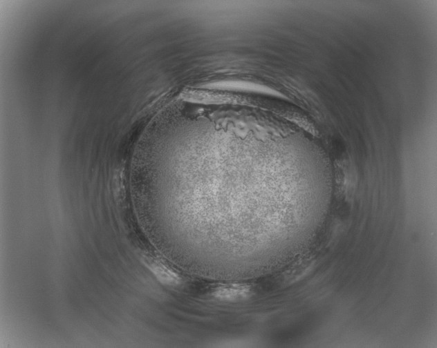 X0000060780369200511101346