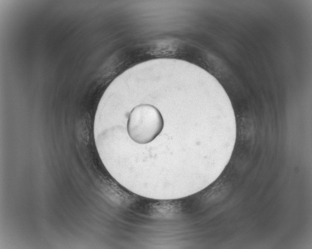 X0000060780370200511101346