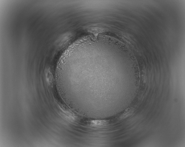 X0000060780371200511101346