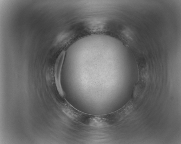 X0000060780372200511101346