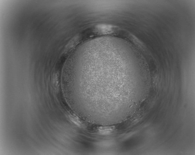 X0000060780373200511101346