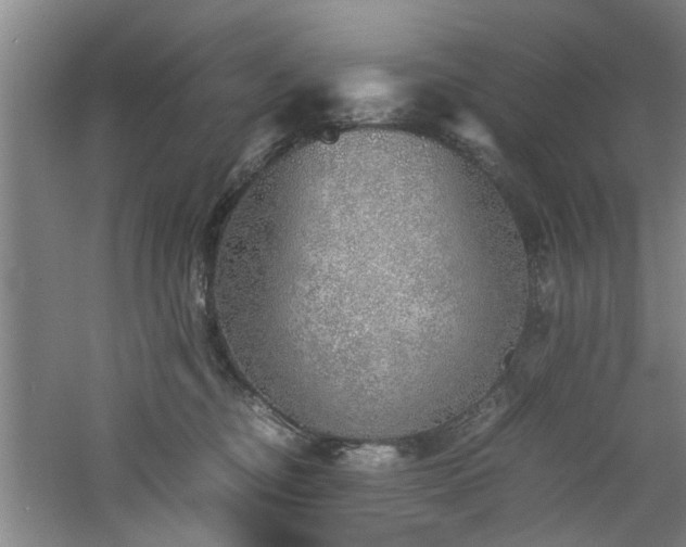 X0000060780374200511101346