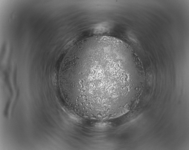 X0000060780375200511101346