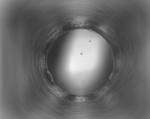 X0000060780376200511101346