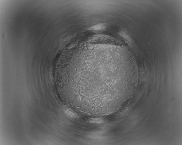 X0000060780377200511101346