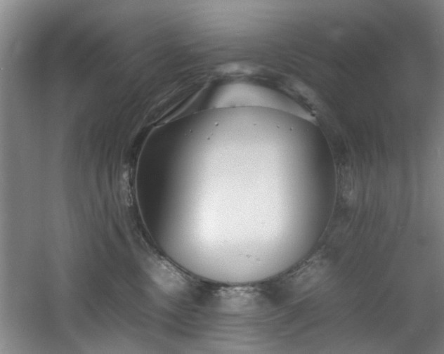 X0000060780378200511101346