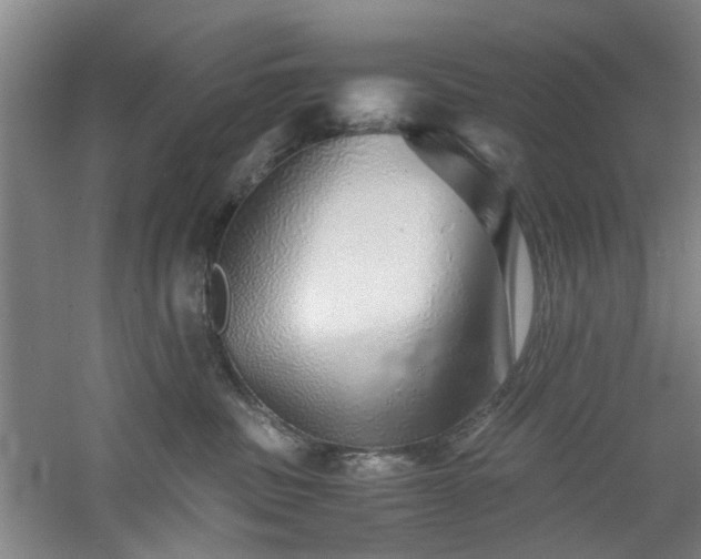 X0000060780379200511101346