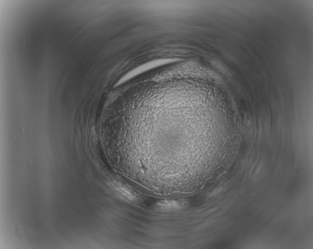 X0000060780381200511101346