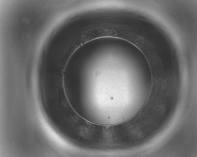 X0000060780382200511101346