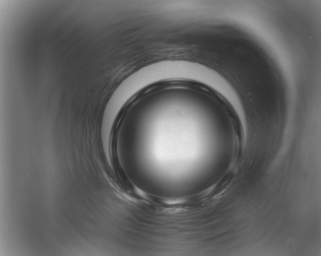 X0000060780383200511101346