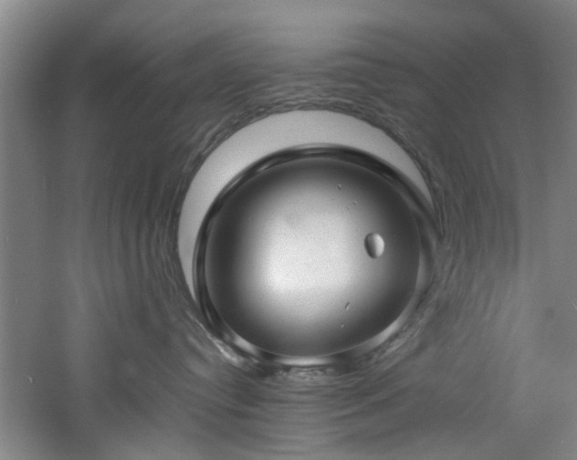 X0000060780384200511101346