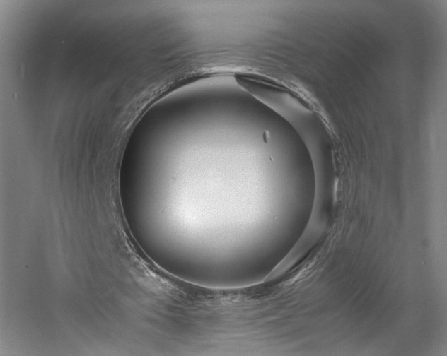 X0000060780385200511101345