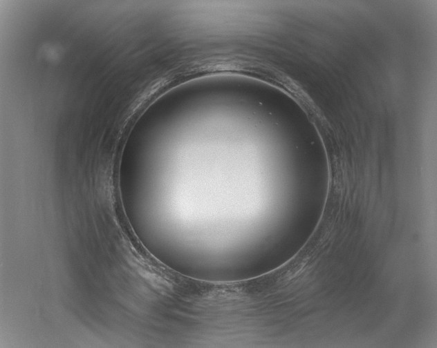 X0000060780386200511101345