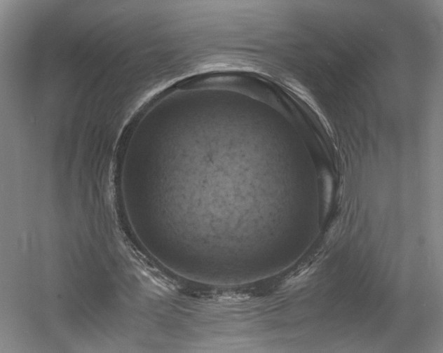 X0000060780387200511101345