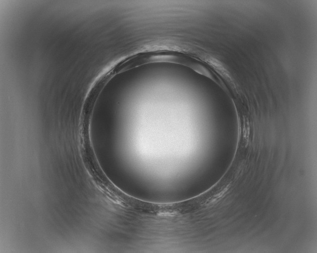 X0000060780388200511101345