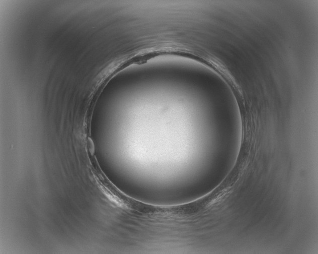 X0000060780389200511101345