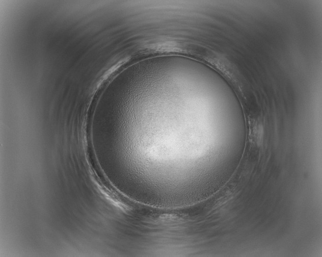 X0000060780390200511101345