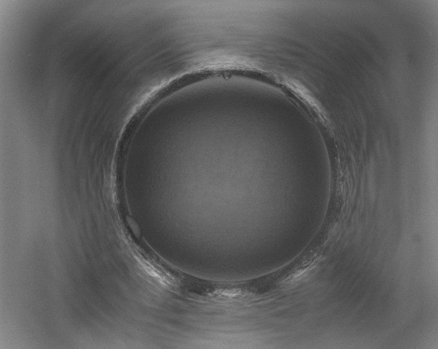 X0000060780391200511101345