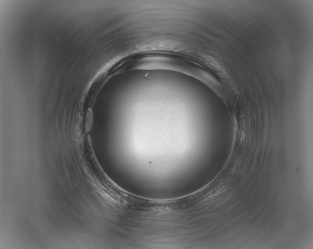 X0000060780392200511101345