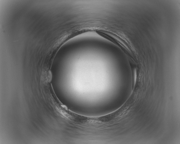 X0000060780393200511101345