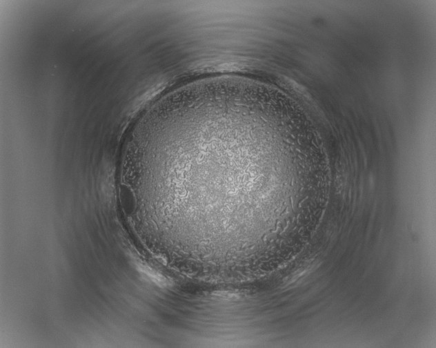 X0000060780394200511101345