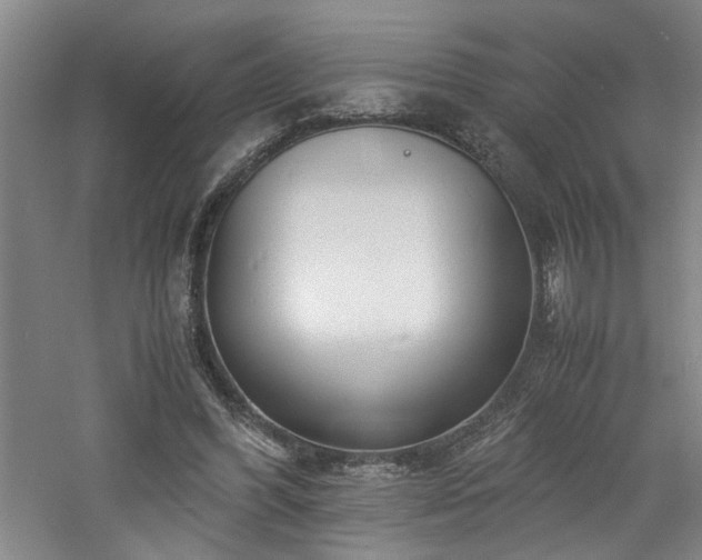 X0000060780396200511101345