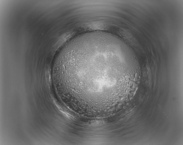 X0000060780398200511101345