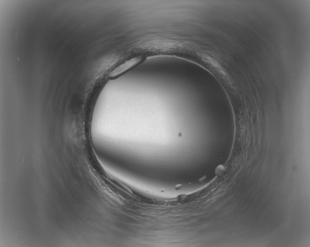 X0000060780399200511101345