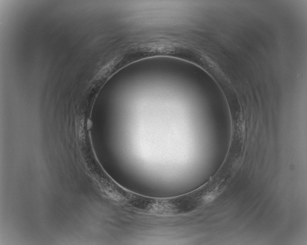 X0000060780403200511101345