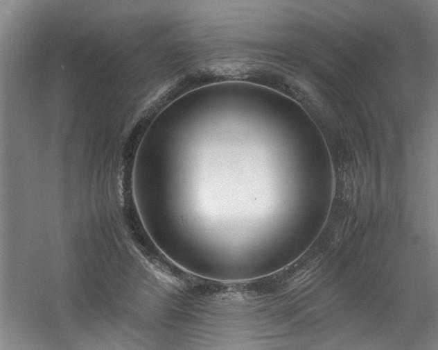 X0000060780404200511101345