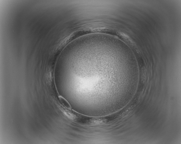 X0000060780405200511101345