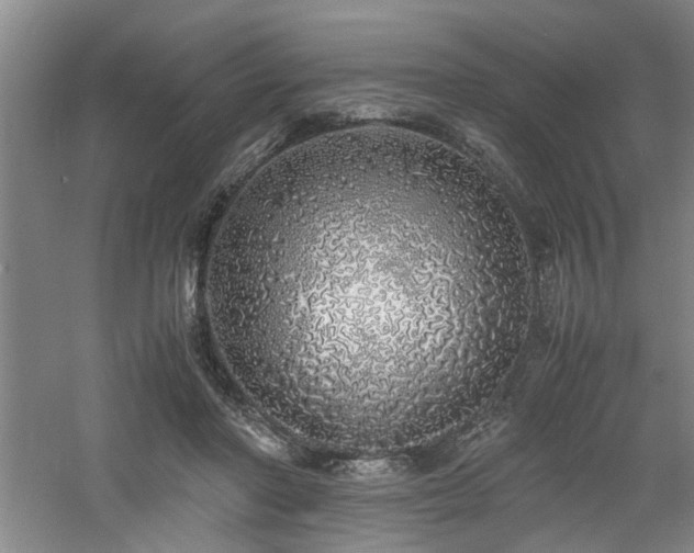 X0000060780406200511101345