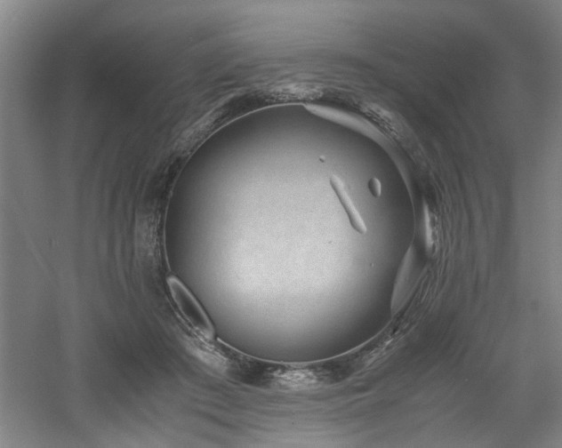 X0000060780409200511101345