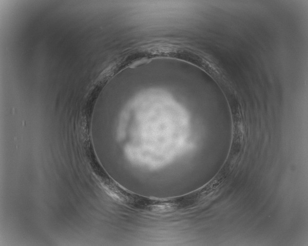 X0000060780411200511101345