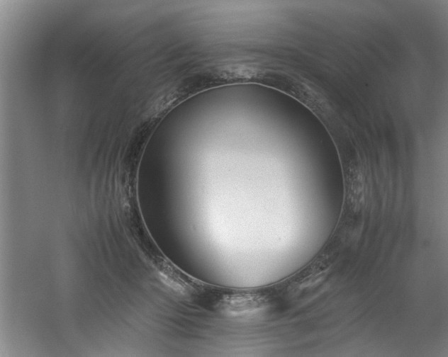 X0000060780414200511101345