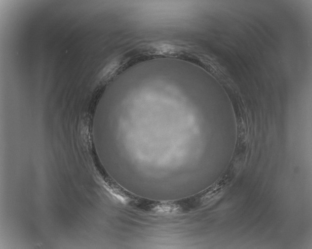 X0000060780415200511101345