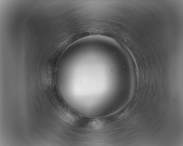 X0000060780416200511101345