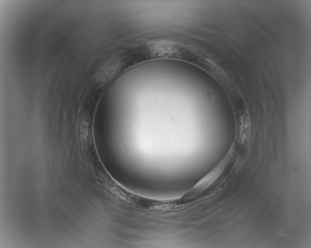 X0000060780417200511101345