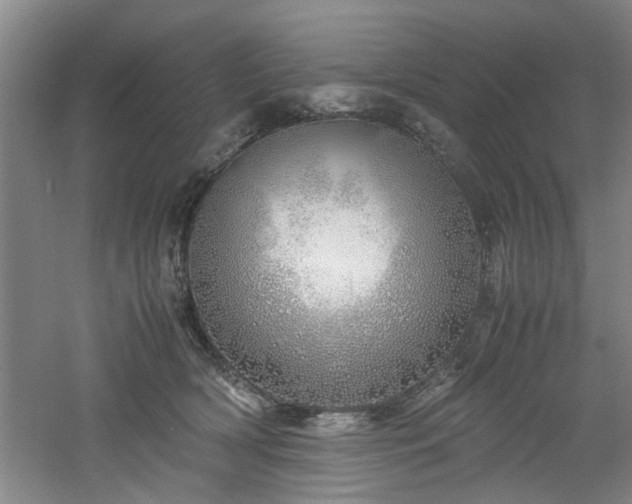 X0000060780418200511101345