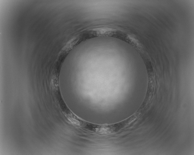 X0000060780419200511101345