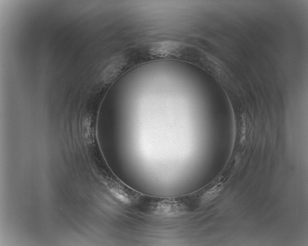 X0000060780420200511101345