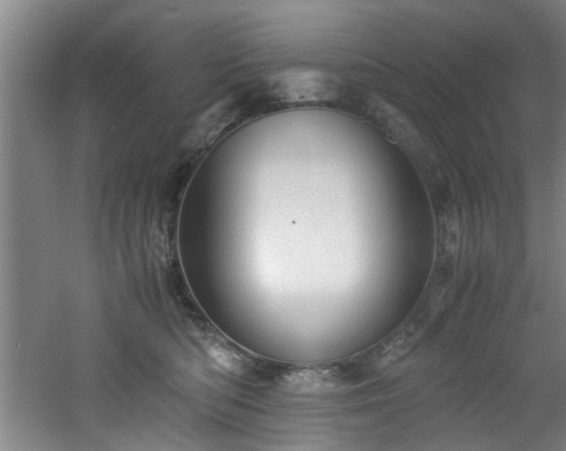 X0000060780422200511101345