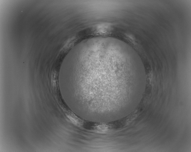 X0000060780423200511101345