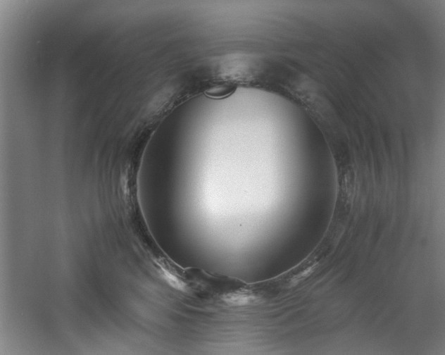 X0000060780424200511101345