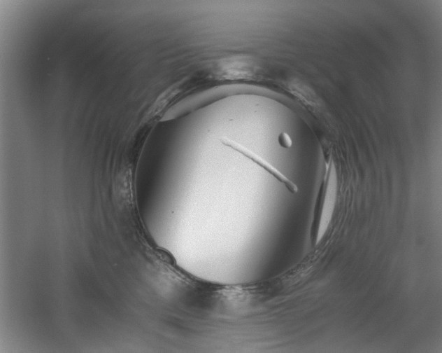 X0000060780425200511101344