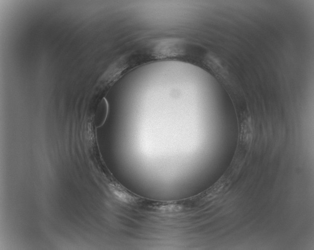 X0000060780426200511101344